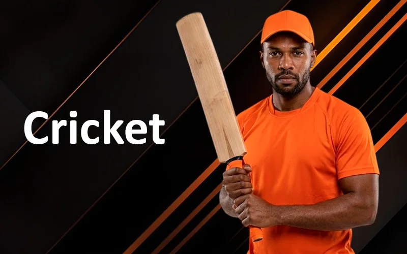 Bet on cricket on the JeetBuzz site now.